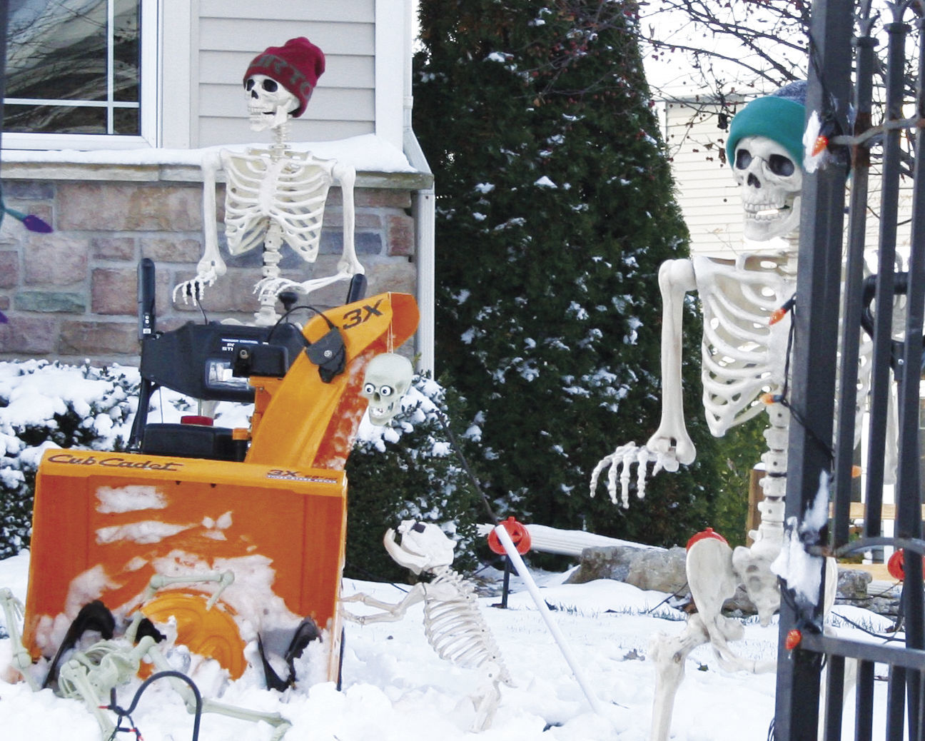 Skeleton snow removal